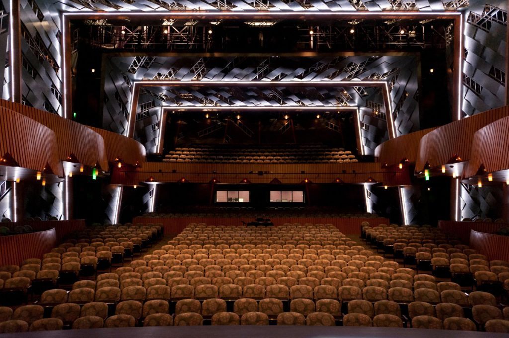 Francis Marion Performing Arts - Project Gallery Image