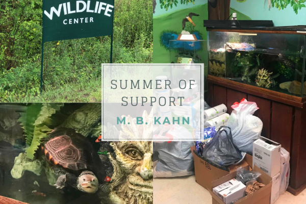 Summer of Support Helps Wildlife